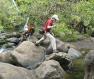 2010 Hanakapiai Stream crossing-thumb.jpg